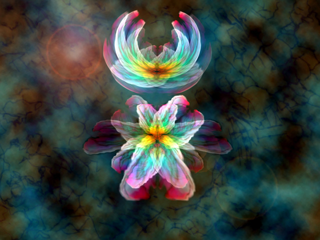 lotus3