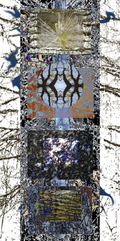 image-num-v1web