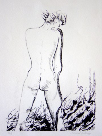 litho-nu-punk-w