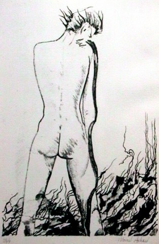 nudos_litho