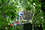 jardinier