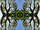 peupliermiroir_5k_no1
